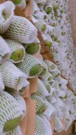 Anwar Ratol 12# - 8kg - Image 3