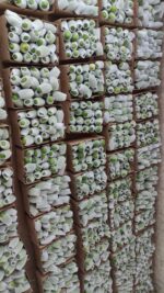 Black Chaunsa Mango - 8kg - Image 3