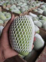 Multani White Chaunsa Mango - 8kg - Image 8