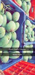 Multani White Chaunsa Mango - 8kg - Image 7