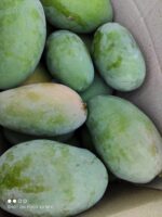 Nawabpuri White Chaunsa (Late) Mango - 8kg - Image 26