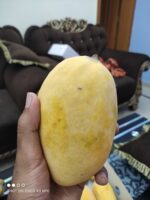 Nawabpuri White Chaunsa (Late) Mango - 8kg - Image 20